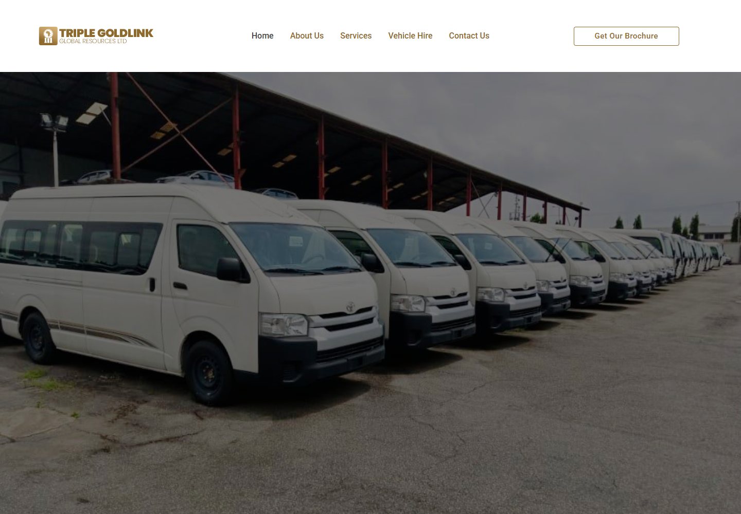Triplegold Link website screenshot